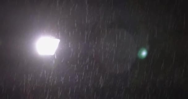 Sudden Torrential Downpour Night Tropics Raindrops Highlighted Natural Lens Flare — Vídeo de stock