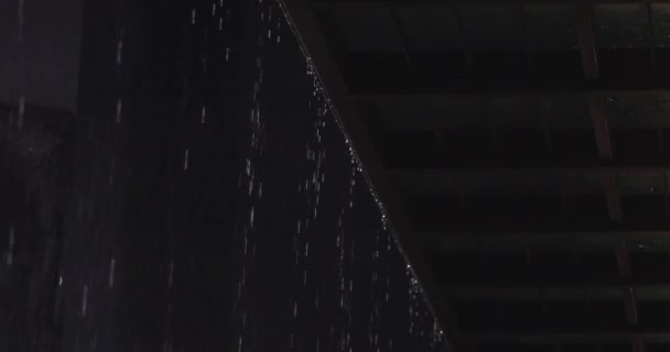 Rain Drops Night Tropics Raindrops Highlighted Dark Background Awning Gently — Stockvideo