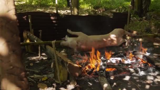 Whole Pig Lechon Being Barbecue Roasted Traditional Way Philippines — Video