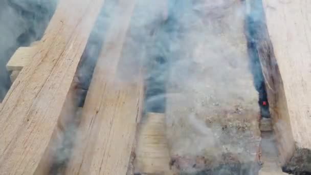 Burning Wood Logs Barbecue — Video Stock