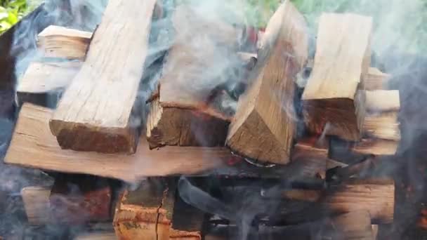 Burning Wood Logs Barbecue — ストック動画