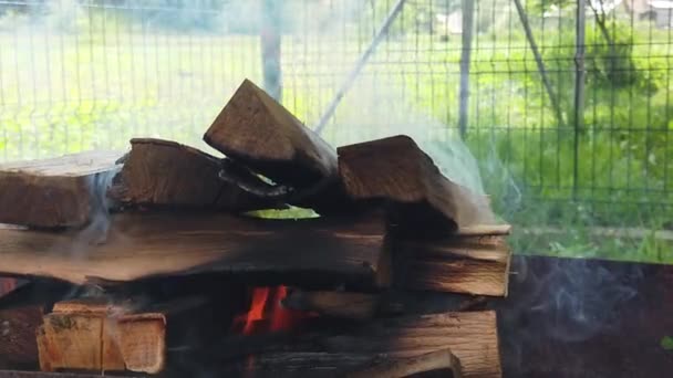 Burning Wood Logs Barbecue — Wideo stockowe