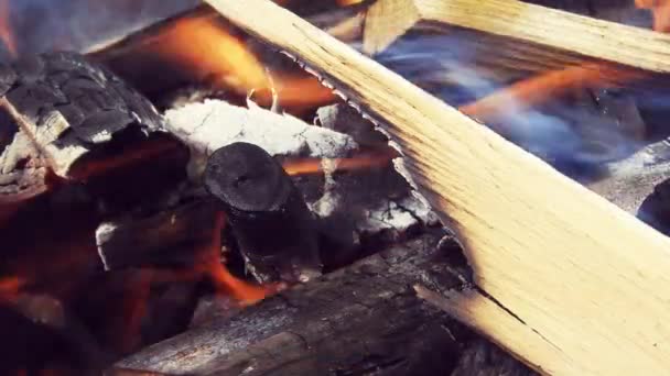 Burning Wood Logs Barbecue — Stok Video