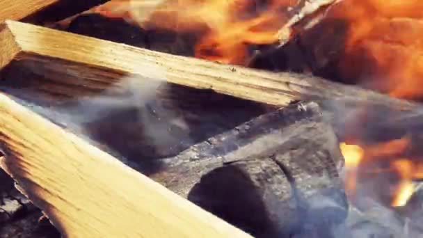 Burning Wood Logs Barbecue — Stockvideo