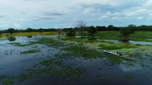 Drone Video Boat Wetlands Brazil — 비디오