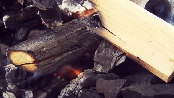 Burning Wood Logs Barbecue — Video