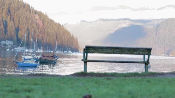 โดรนและ Dslr างๆถ ายท Deep Cove สวยงามในแวนค เวอร — วีดีโอสต็อก