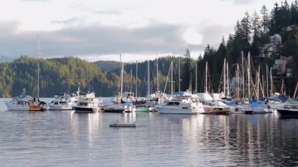Various Drone Dslr Shots Beautiful Deep Cove Vancouver — 图库视频影像