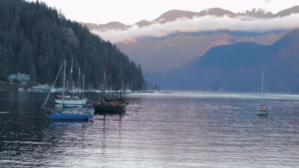 Various Drone Dslr Shots Beautiful Deep Cove Vancouver — 图库视频影像