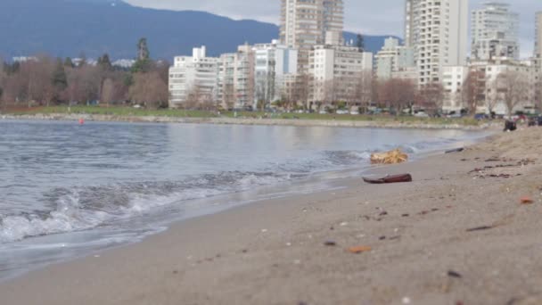 Various Drone Shots English Bay Downtown Vancouver Polar Bear 2019 — стоковое видео
