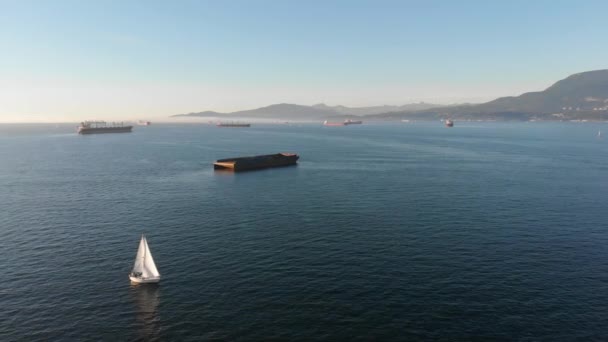 Various Drone Shots Kitsilano Beach Downtown Vancouver — Video