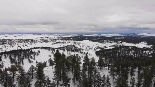 Wilderness Firetower Top Mountain Snow Aerial — Stockvideo