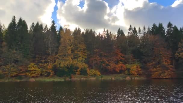 299 Red Autumn Lake Forest Trees — Wideo stockowe