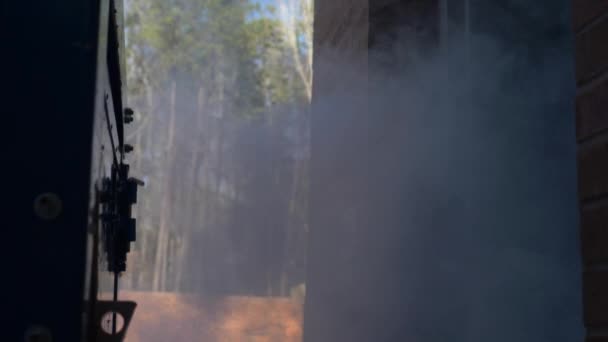 Smoke Building Fire Comes Out Open Door — Vídeo de Stock