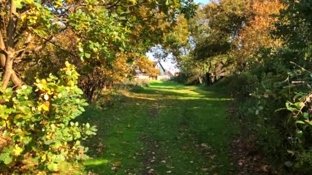 Leafs Blowing Green Autumn Valley — Stock video