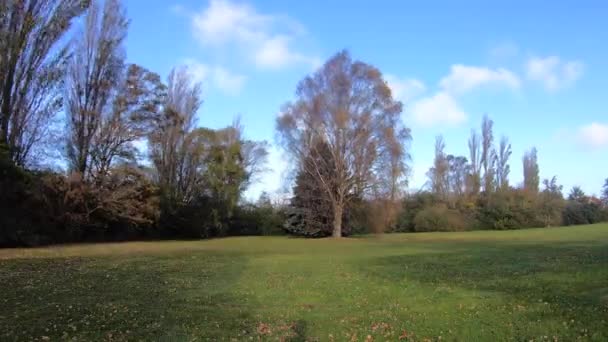 Autumn Time Lapse Cloudy Day — Stockvideo