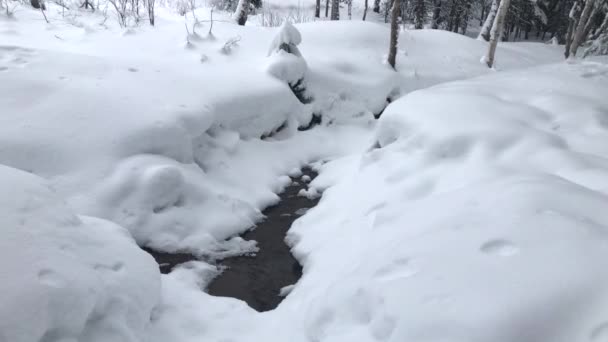 Small Pond Winter Land — Stockvideo