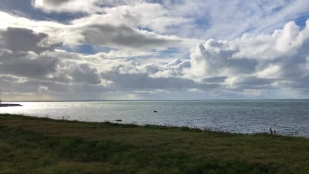 Green Grass Ocean Cloudy Day — Stock video