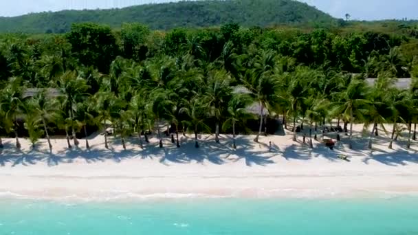 Wide Aerial View Beautiful Palm Tree Beach White Sand Turquoise — Video