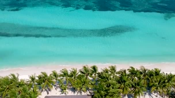 Beautiful Aerial Turquoise Blue Sea White Beach Panglao Island Bohol — Vídeo de Stock