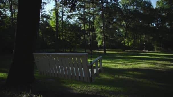 Backyard Tree Swing Forest Summer — Stok video