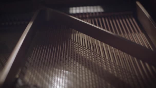 Dentro Piano Con Pianista Masculino Tocando Movimiento Cámara Profundidad Superficial — Vídeo de stock