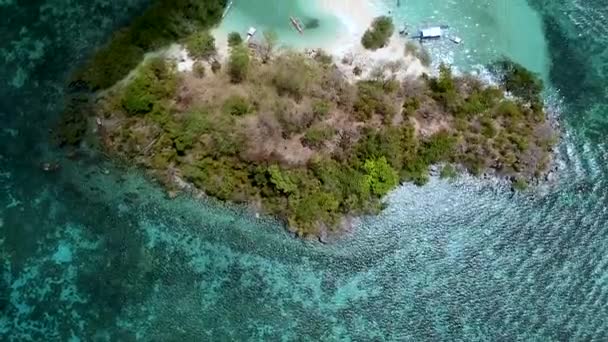 Вигляд Зверху Донизу Пляж Cyc Острові Cyc Місто Корон Філіппіни — стокове відео