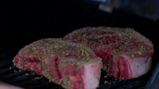 Pair Brand New Steaks Grill Starting Cook Grill Lid Shut — Video