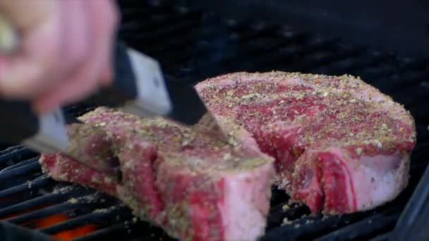 Pair Meat Tongs Play Raw Rib Eye Steak Grill Presses — Vídeo de Stock