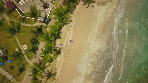 Beautiful Beach Dominican Republic Called Playa Bonita Las Terrenas — Vídeo de stock