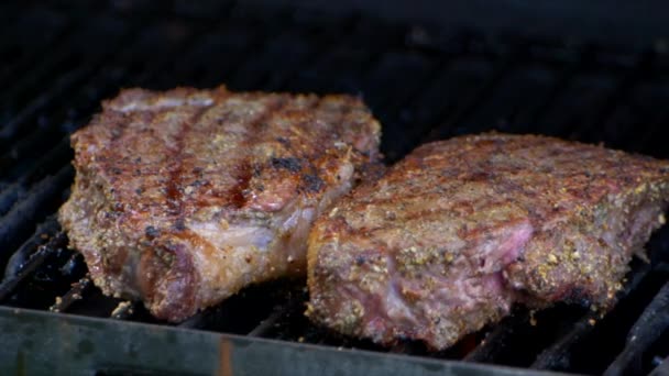 Two Thick Juicy Rib Eye Steaks Covered Grills Lid Closed — Video