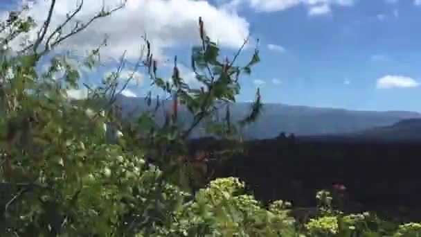 Road Caldera Volcano Lava — Αρχείο Βίντεο