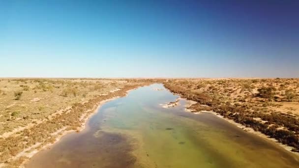 Drone Flying Low Fast Remote Spring Fed River Australian Desert — Stockvideo