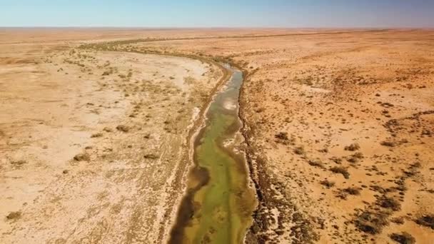 High Flying Drone Footage Spring Fed River Winding Arid Australian — Stok video