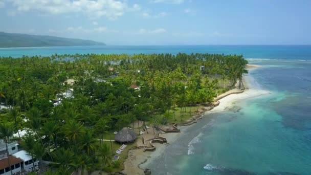 Beautiful Beach Dominican Republic Called Playa Bonita Las Terrenas — Stock videók