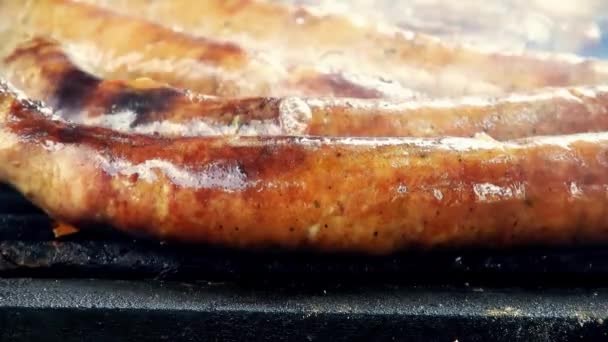 Assorted Delicious Grilled Meat Top View Sausages Chicken Pork — Stock video