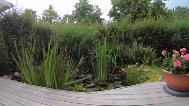 Boardwalk Next Garden Pond — Stock Video