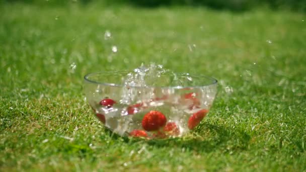 Strawberries Falling Water Bowl — Vídeo de stock