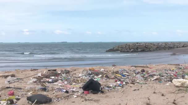 View Trash Garbage Other Waste Washed Out Sea Sandy Beach — Stockvideo