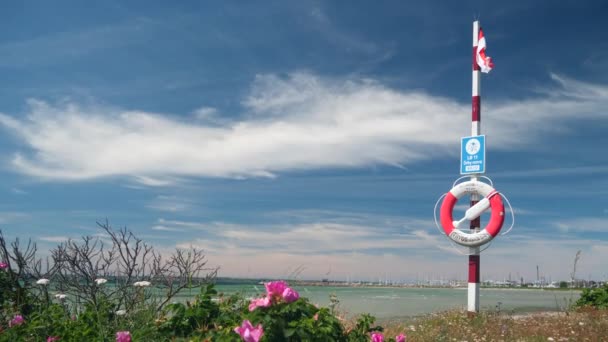 Lifebuoy Front Beach — стоковое видео