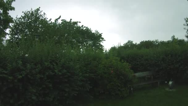 Raining Park Bench Park — стоковое видео