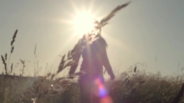 Woman Walking Farmers Field Sunset — Vídeo de Stock