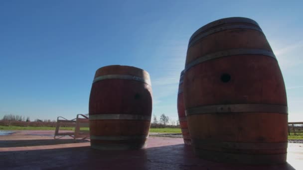 Wine Barrel Barrels Wine Production Winery Wine Frech Canada — Wideo stockowe