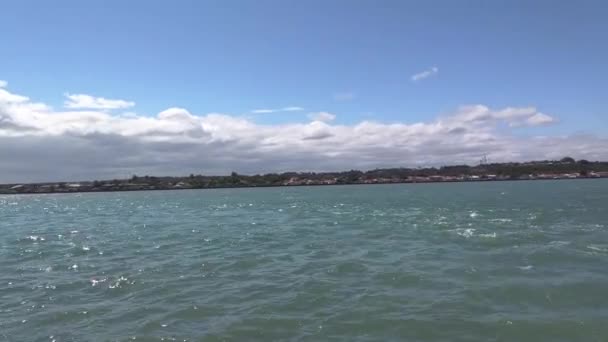 Panoramic Calm Ocean Blue Sky Palm Trees — Stock video