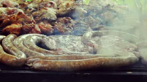 Saucisse Grillée Sur Gril Flamboyant Bearbeque Extérieur Avec Autres Viandes — Video