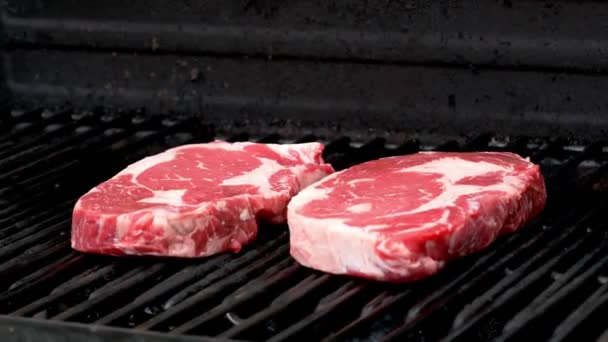 Two Raw Rib Eye Steaks Getting Ready Cook Grill — Stockvideo