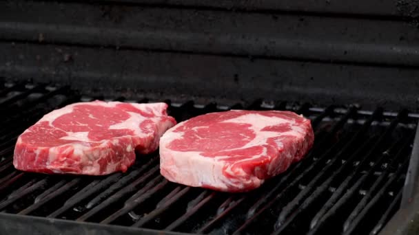 Two Raw Rib Eye Steaks Getting Ready Cook Grill — Stock Video