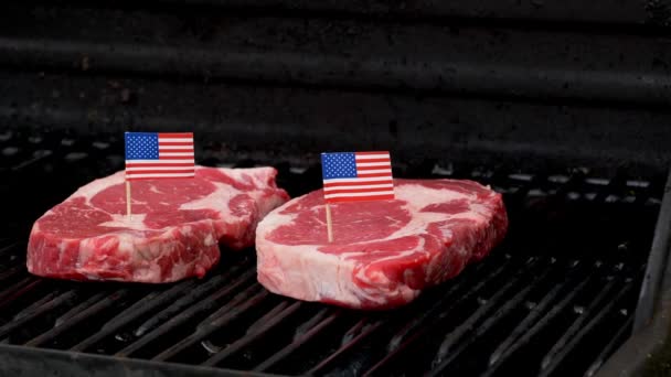 Two Juicy Rib Eye Steaks Sitting Grill Cooking Two Tiny — Stock Video