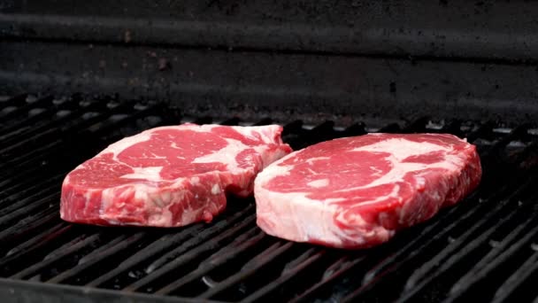 Two Raw Rib Eye Steaks Getting Ready Cook Grill — Video