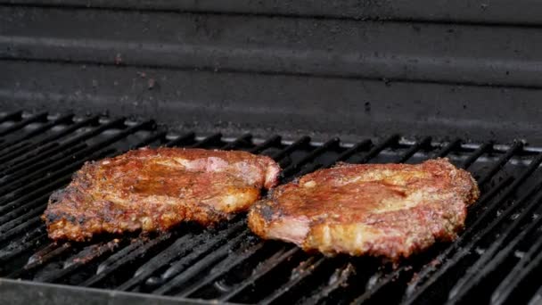 Two Juicy Rib Eye Steaks Sitting Grill Cooking — стоковое видео